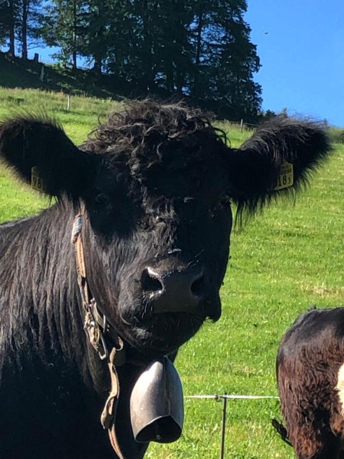 Schoenenbueel Teufen Buitenkant foto